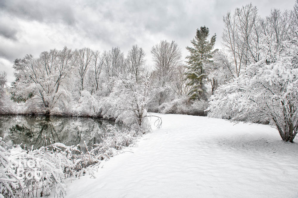 Fresh snow photographed the morning after an all day storm