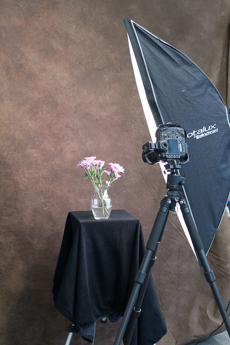 Elinchrom Rotalux Softbox